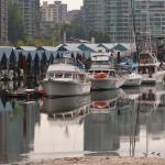 Stanley Park Dock