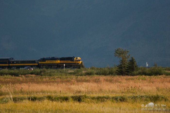 Alaska Railroad at Potter's Marsh