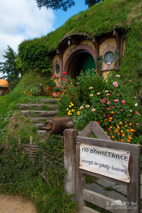 The Baggins house
